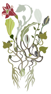 logo_flower
